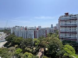 Blk 170 Stirling View (Queenstown), HDB 3 Rooms #598228851